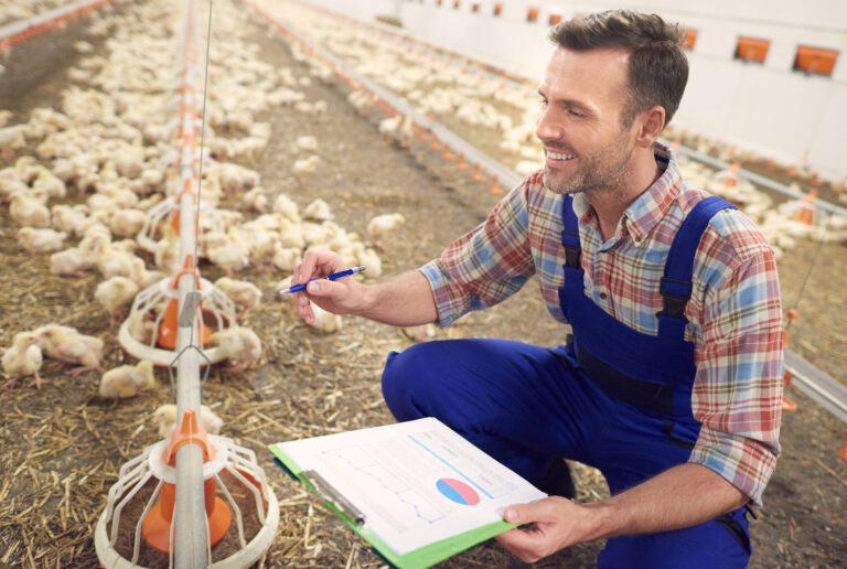 Poultry Farming Business in India: Loan Options, Costs & Profit Guide